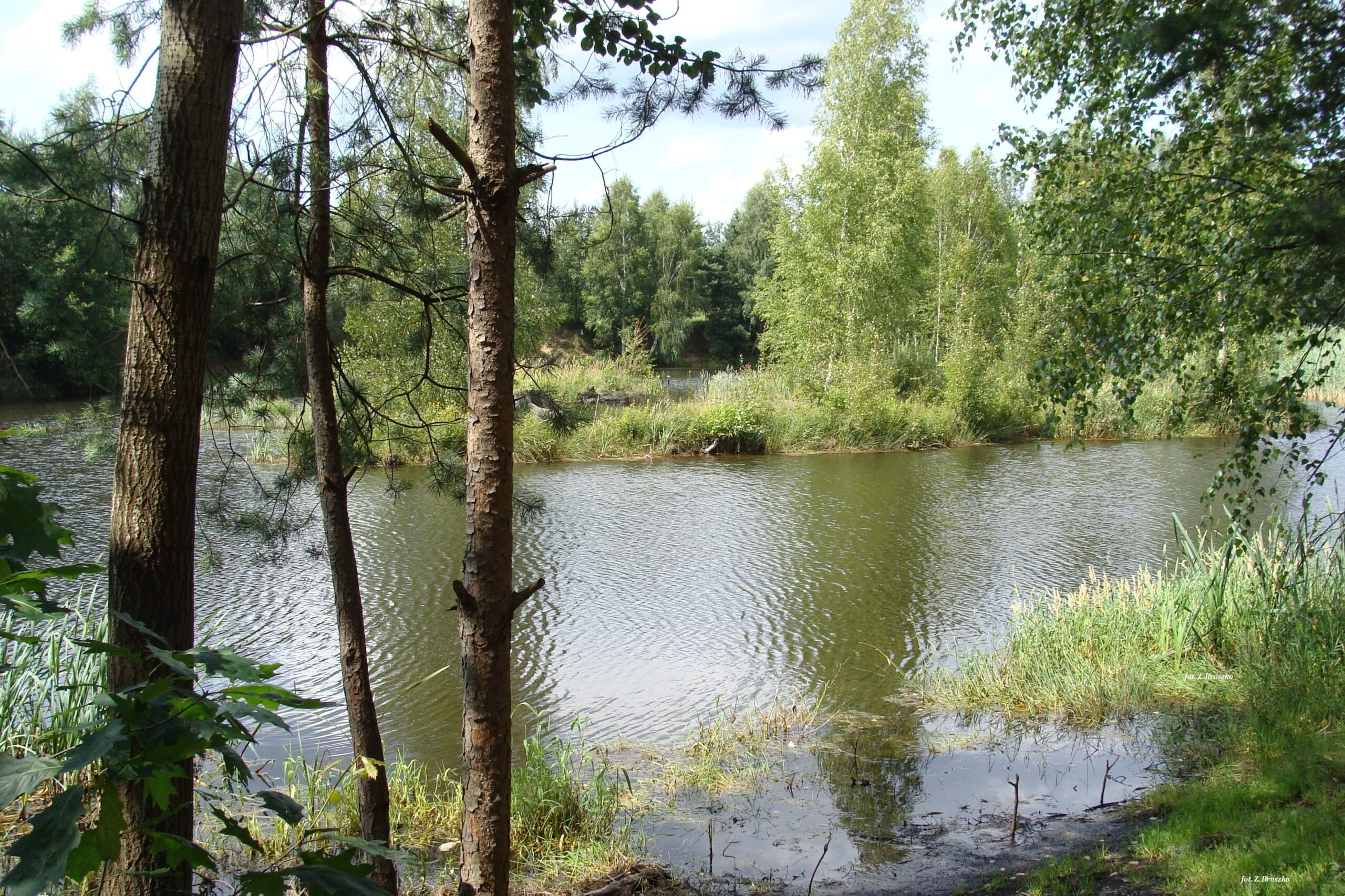 Gmina Osiecznica - zdjęcie 2