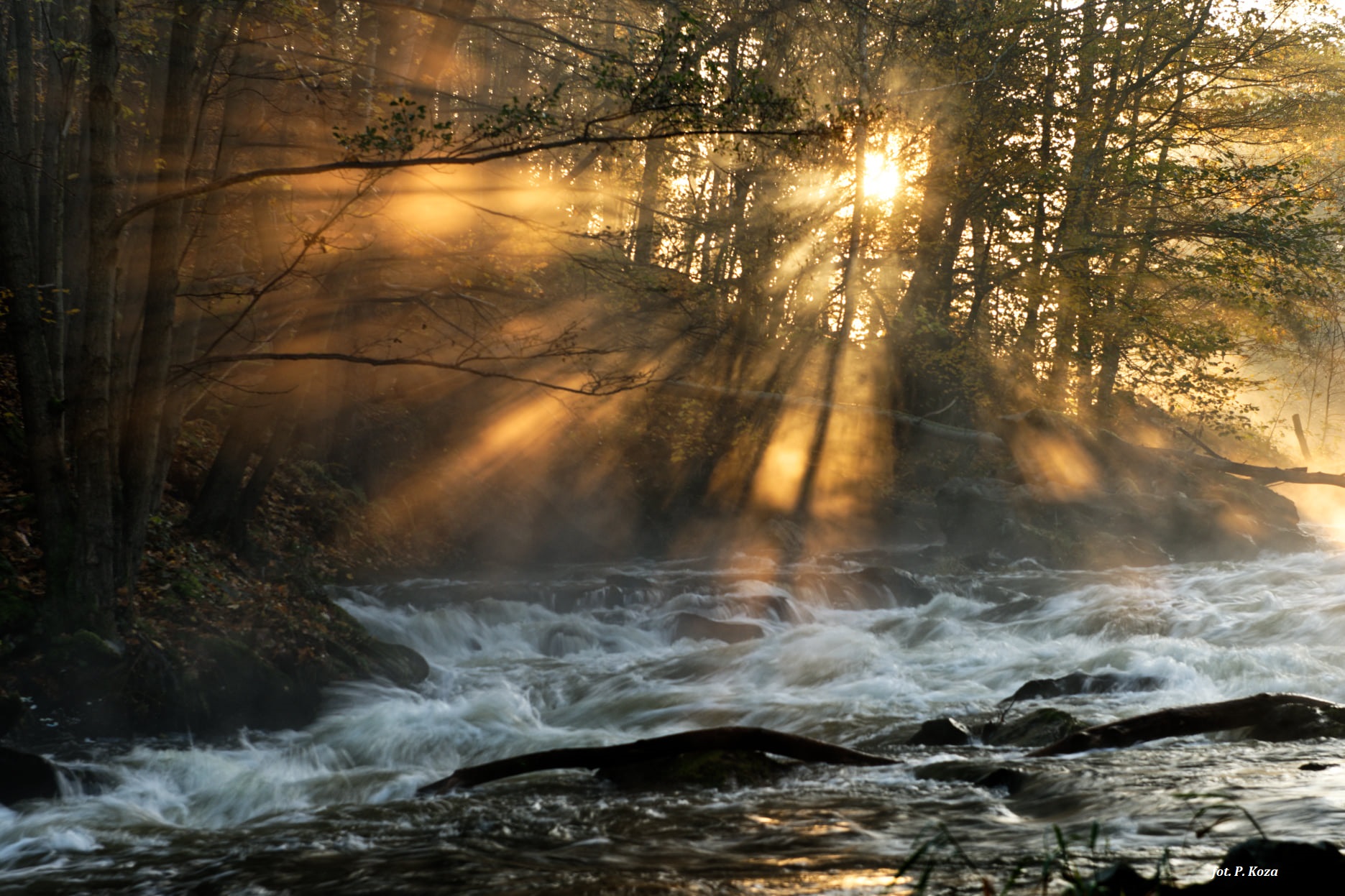 Gmina Osiecznica - zdjęcie 3