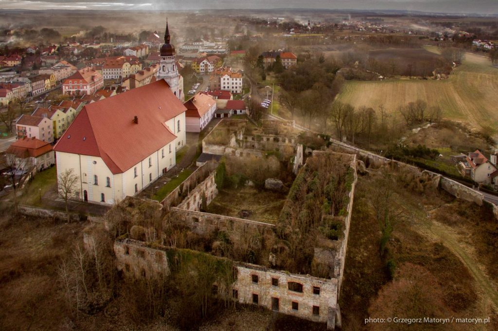Ruiny klasztoru w Nowogrodźcu – zabytkowy kompleks