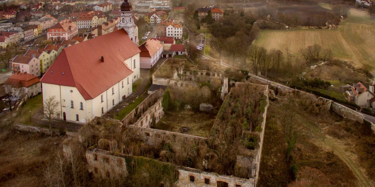 Ruiny klasztoru w Nowogrodźcu – zabytkowy kompleks